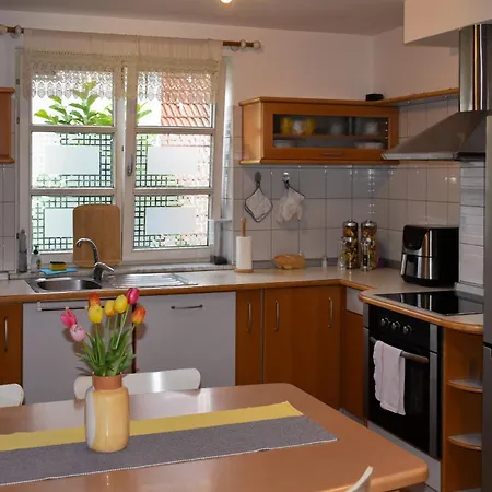 Sina * Lubiana